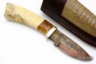 Skinner - Walrus Jaw