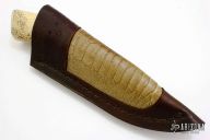 Skinner - Walrus Jaw