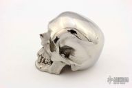 Skull - Hardened Stainless Steel