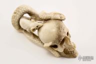 Skull/Snake/Rat carving
