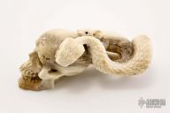 Skull/Snake/Rat carving