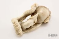 Skull/Snake/Rat carving