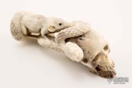 Skull/Snake/Rat carving