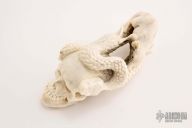 Skull/Snake/Rat carving