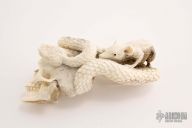 Skull/Snake/Rat carving