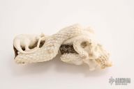 Skull/Snake/Rat carving