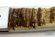 Big Sheephorn Folder