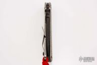 SnG Starlingear Collaboration - Halloween