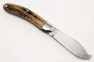 Sowbelly with Mammoth Covers