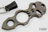 Spartan Royal Guards