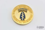 Special Forces Airborne Challenge Coin