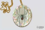 Spider Pendant - Abalone