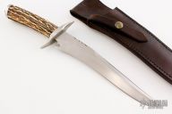 Stag Recurve Fighter