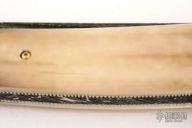 Damascus & Mastodon Lockback