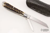 Swayback Jack - Stag