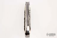 Swayback Jack - Stag