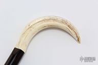 Sword Cane - Warthog Tusk