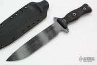 Team Gemini - Battle Grade SR101