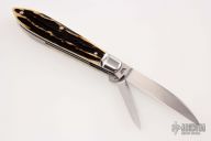 Teardrop Wharncliffe - Two-Blade