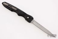 The Wasp - Subhilt Proto 06