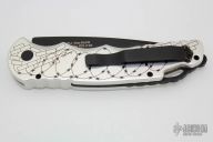 TR-4 Shaw Skull #2 Limited Edition #202 of 300