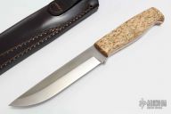 Trapper - Curly Birch