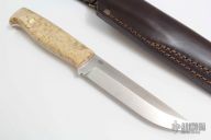 Trapper - Curly Birch