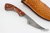 Upswept Fixed Blade