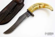 Warthog Tusk Fixed Blade