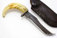 Warthog Tusk Fixed Blade