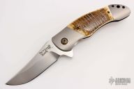 Wave Flipper with Mammoth