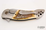 Wave Flipper with Mammoth