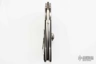 Wayfarer W663 - Skull Inset