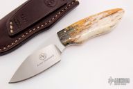 Bush Baby - Meerkat - Giraffe Bone