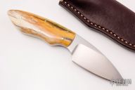 Bush Baby - Meerkat - Giraffe Bone