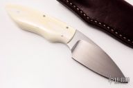 Bush Baby - Meerkat - Warthog Ivory