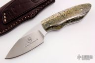 Bush Baby - Meerkat - Giraffe Bone