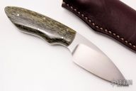 Bush Baby - Meerkat - Giraffe Bone