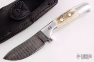 Damascus Sidekick - Limited Edition