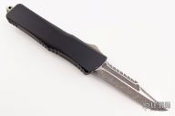 Combat Troodon Interceptor