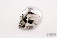 Skull - Hardened Stainless Steel