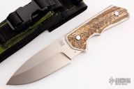 0888B0-B Strider Solution - Stag