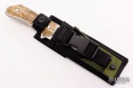 0888B0-B Strider Solution - Stag