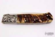 Engraved Lockback - Sheep horn