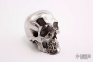 Hardened Stainless Steel Skull