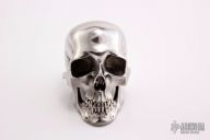 Hardened Stainless Steel Skull
