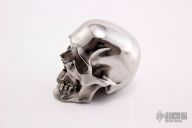 Hardened Stainless Steel Skull
