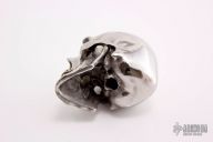 Hardened Stainless Steel Skull
