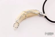 Coyote Tooth Necklace