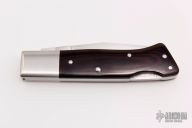 Jess Horn Street Fighter Tribute - Ryuichi Kawamura